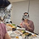 동당2 | 제주 동쪽 감성있는 독채 숙소 추천: 구좌읍 의식주 후기, 내돈내산