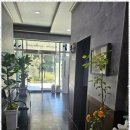 펫바라기 이미지