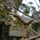 상수리PC 이미지