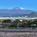 강정동-20 이미지