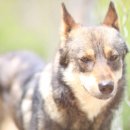 모리농장 이미지