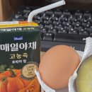 더힘 | 매일야채 고농축 호박의 힘 후기, 진해서 더 좋은 이너뷰티 루틴