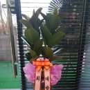 우리세무회계사무소 이미지