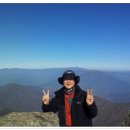 태양여행사(주)