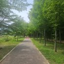 생기자리공원 | 무료로 즐기는 초지공원 가족피크닉장, 가족 나들이 후기