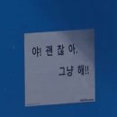 와선산방 | 26.08.09 8월 2주차 책과 함께한 일상