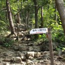 숲속나들이길 이미지