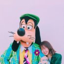 이따가다 이미지