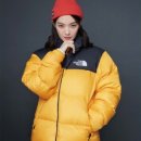크로커다일 대리점 | 2020. 11. 17. 패션 브리핑