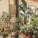 문화부분정비 이미지