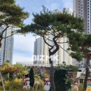 다름공인중개사사무소 이미지