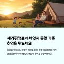 세라핌캠프 | 가평 세라핌캠프 키즈글램핑장 인기 시설(트램펄린·수영장·바비큐) 후기 총정리