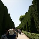 ⑩ 스페인 여행 - 알함브라궁전의 헤네랄리페정원 &amp; 정열의 플라멩고 이미지