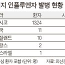 돼지 인플루엔자(돼지독감)?, 증상, 예방 이미지