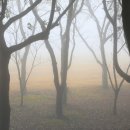 제주풍경스케치 이미지