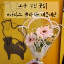 마리스플라워 이미지