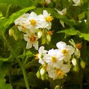 입곡문화공원 이미지