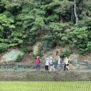 송기농로 이미지