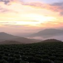 구름위의 산책 이미지