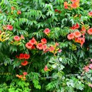 성주리마을회관 이미지