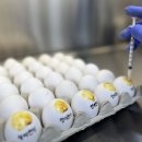 청미천 8 이미지