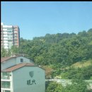 골든텔 이미지