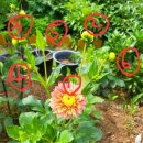 카페 다알리아 이미지