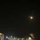 원텍 | LED 두피관리기 원텍 헤어뱅8 후기