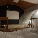 태흥 예술극장 이미지