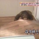 커피상