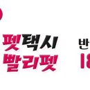 빨리펫 네이버블로그