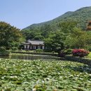 별빛산방 이미지