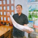 시골촌두부 선어회 이미지