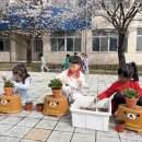 만승초교 병설유치원 이미지