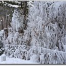 평창(강릉)휴게소 이미지