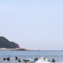 (주)태영관광 네이버블로그