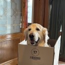 협재마당 이미지