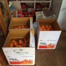 오세열농장 이미지