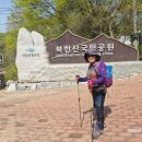 도봉산 진달래, 우이암, 마당마위 등반, 벚꽃잎(박숙자), 여행의 기쁨 이미지