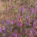 하늘정원장 이미지