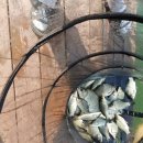 연론낚시터 이미지