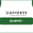 클로버 동물병원 이미지