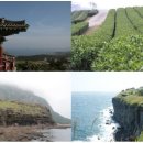 하바다 통나무집 이미지