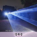 한밤 | 경복궁 야경 궁중문화축전 한밤의 시간여행 프로그램 후기