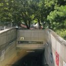 서울시무용단 공연 | 세종문화회관)서울시무용단-일무