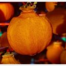 풍성농장 이미지