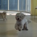 멈머즈 | 울산 오개와 함께하는 [멈머즈] 탐방기