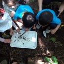 롯데스카이어린이집 이미지