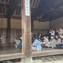 하루다과 이미지