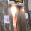 초지2로 이미지